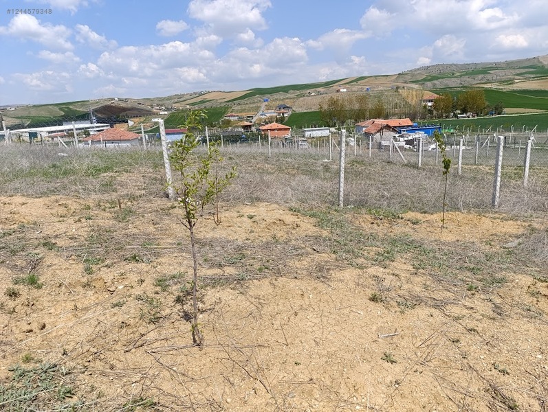 ANKARA AKYURT YILDIRIM KÖYÜNDE TARLAMIZIN 400 M² Sİ  SATILIKTIR - ANKARA AKYURT fotoğraf 2